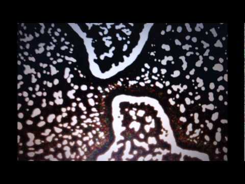 Tanha Dil - Shaan Remix.wmv