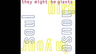 Watch They Might Be Giants Ant video
