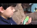 parakeet