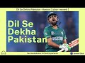 Dil Se Dekha Pakistan | Haroon | slowed & reverbed