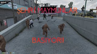 Şehri Maymunlar Basıyor!! Elraenn Mod Ekibi Şehirde Maymun RP'si Yapıyor/Eightbo