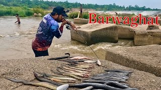 Amazing Baam Fishing In Jharkhand Barwa Ghat