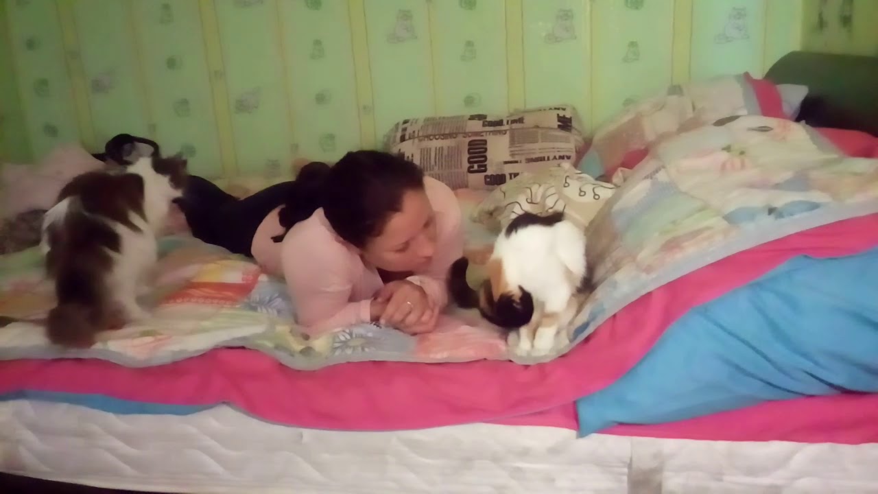 Аппетитная мама лижет клитор молодой дочери на кровати