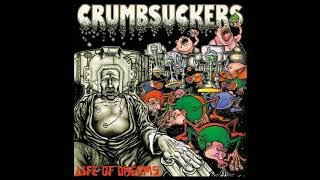 Watch Crumbsuckers Life Of Dreams video