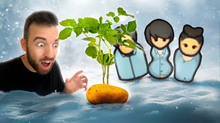 Выращиваю Картошечку В Мороз В Rimworld