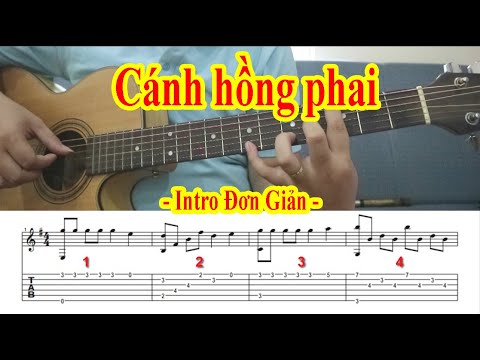 Hướng Dẫn Intro Guitar - CÁNH HỒNG PHAI