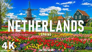 Spring In Netherlands 4K Ultra Hd - Vibrant Tulip Gardens, Scenic Cs & Calming Piano Music