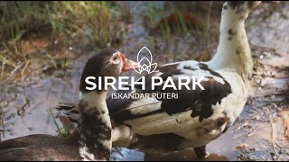 Sireh Park At A Glance