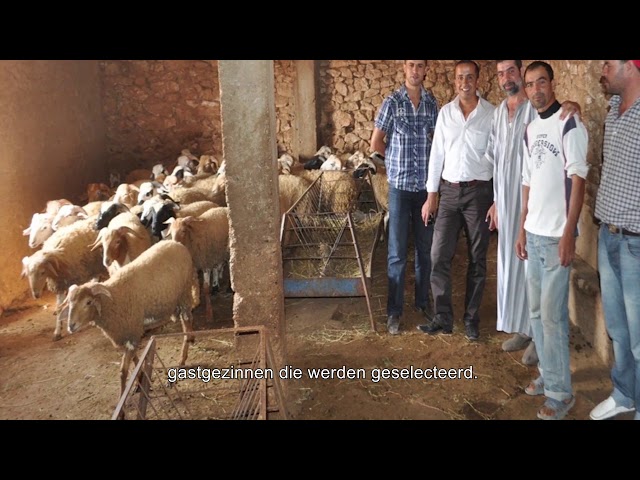 Watch Onbegrensde Krachten: Iben Sina (Mohamed) on YouTube.