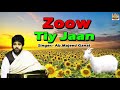 Zoow Tiy Jaan | New Kashmiri Song 2018 | Kya Kar Aashqun | A.b Majeed Ganai | Kashmiri MTI Films