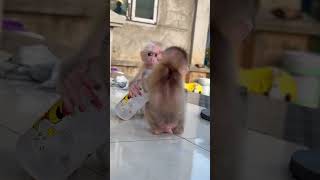 I Love Baby So Cute