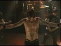 Shine (no shirt)