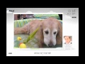 iMeet is a Game Changer