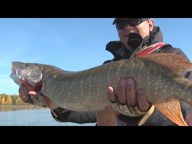 Видео о рыбалке №412