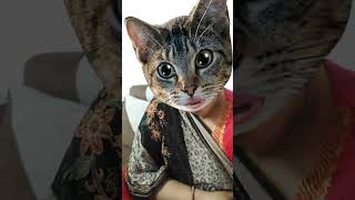 Cate Fach