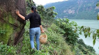 農村姑娘懸崖峭壁上開荒種地,采集食材制作中國四川泡菜,下飯太好吃啦 Girls cultivate fields and make pickles on the edge of cliffs