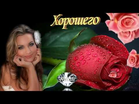 Скачать музыку дружба и любовь