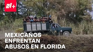 Migrantes Mexicanos, Expuestos A Abusos En Florida, Eua - Despierta