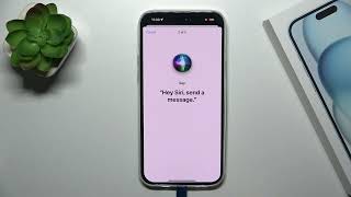 Iphone 15 Plus How To Activate Hey Siri Option Siri Settings