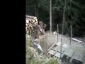 extreme driving