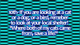 How To Convince Your Parents To Get You Any Pet *Guarenteed To Work*