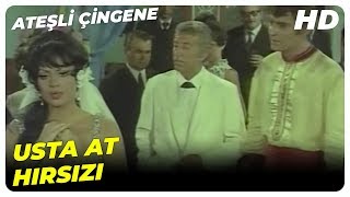 - Derbeder Ali, Gelinciği Nikah Masasından Kaçırdı Türkan Şoray Eski Türk Filmi