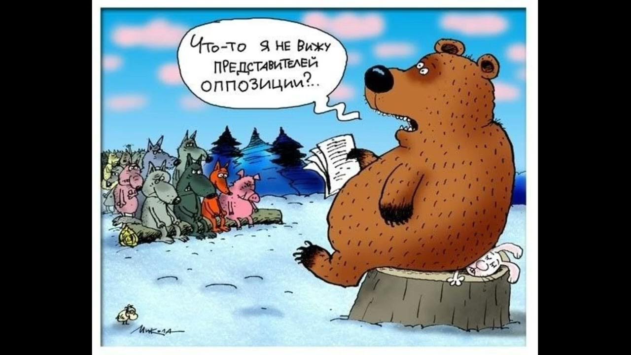 Приколы с медведями картинки