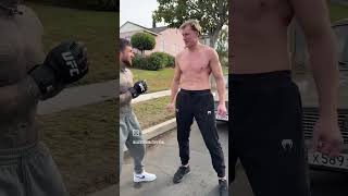 Alex Terrible Taking Puch From Ufc Heavyweight Alexander Volkov