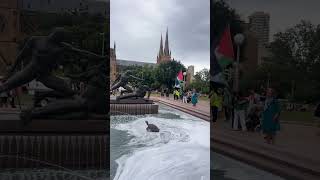 Archibald Fountain