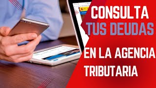 Consulta Tus Deudas Con Hacienda En Minutos, Agencia Tributaria.