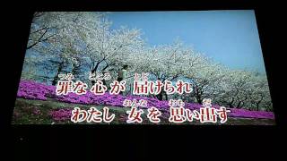 八代亜紀 花 ブーケ 束 1990 八代亜紀 花 ブーケ 束 1990