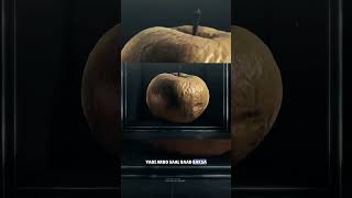 A Apple In A Box Theory