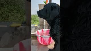 Day Mychiku2 Bengali Vlog . .