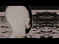 Lucky Video preview