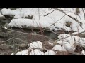 UtahCameraRentals
