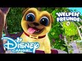 Welpen Freunde - Titelsong: Karaoke Version | Disney Junior 🐶