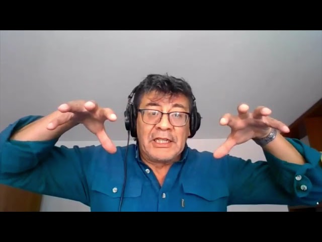 Todos los videos