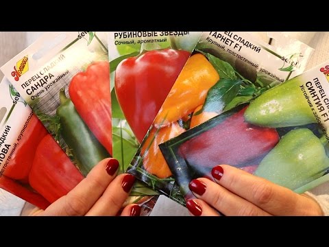 Как выращивать богатый урожай картофеля Как выращивать богатый урожай картофеля