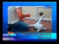 image Spotlite Aksi Lucu Balita Berolahraga