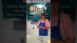 Weekly Series Part 2 - May 3, 2020 - Herbs you can plant now