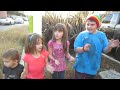 shaytards