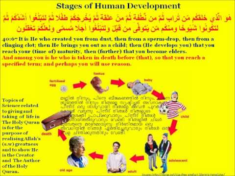 The Progression And Maturation Of Human Development