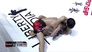 Shuhei Sakano vs Wang Daoyuan REBEL FC 6 - China VS The World