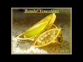 Rondo' Veneziano - L' anello