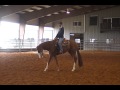 Some Like It Big - *** SOLD ***