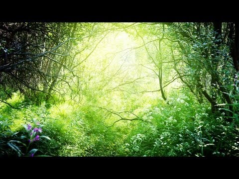 Thomas Bergersen - Benedictus (Two Steps From Heaven)