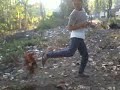 image Henris Ayam Jago Dari Batu Batu