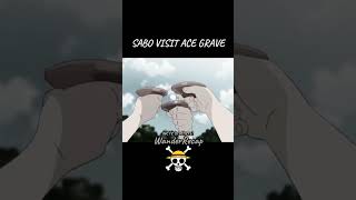 Sabo Visit Ace Grave One Piece Amv