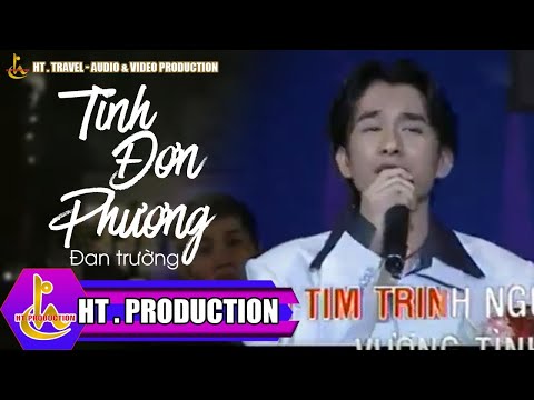 TÌNH ĐƠN PHƯƠNG | ĐAN TRƯỜNG | NHỊP CẦU ÂM NHẠC | BÀI HÁT MÀ 8X,9X NÀO CŨNG THUỘC LÒNG