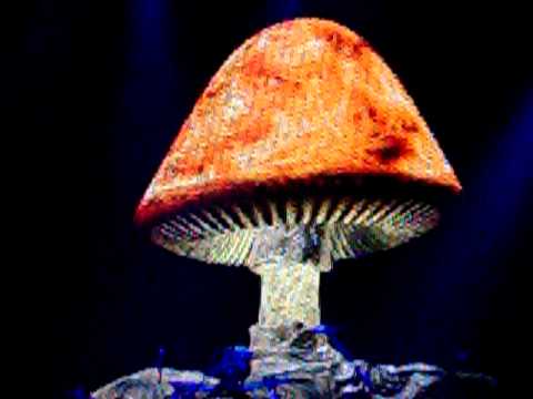 The Allman Brothers Band - Stand Back: The Anthology The Allman Brothers Band - Stand Back: The Anthology